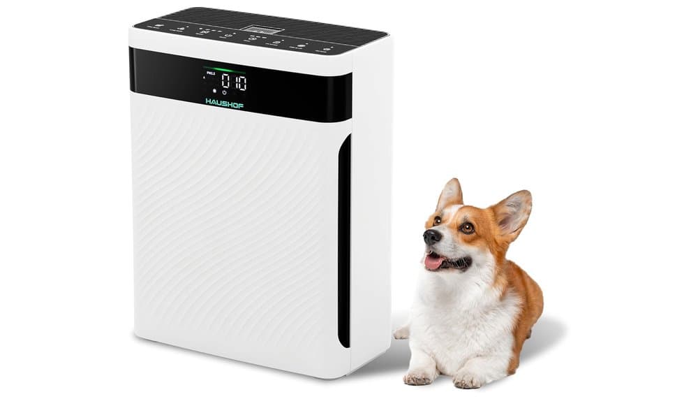 Test del Purificatore d'Aria HAUSHOF H13 CADR HEPA