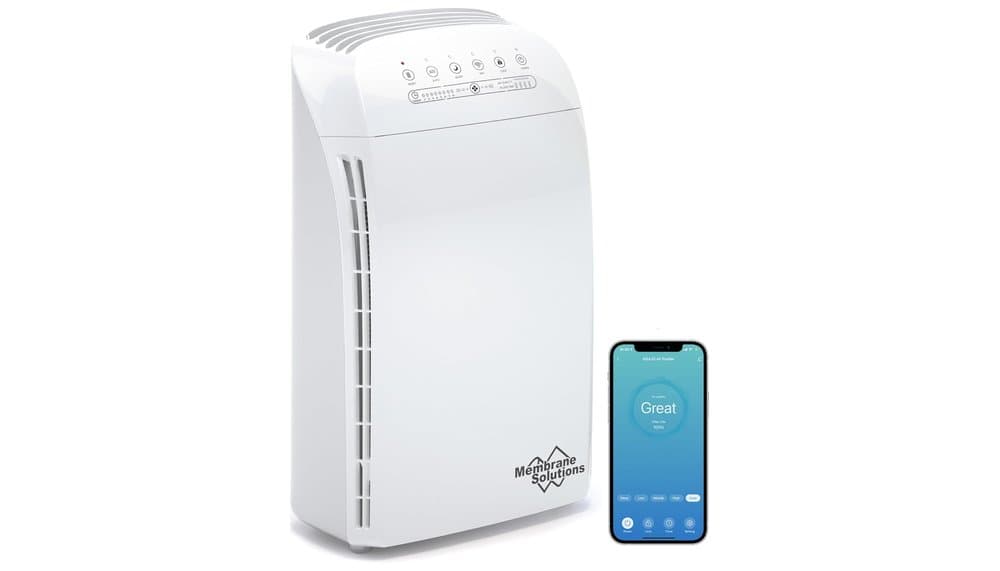 MSA3S Purificatore d'Aria Smart Recensione
