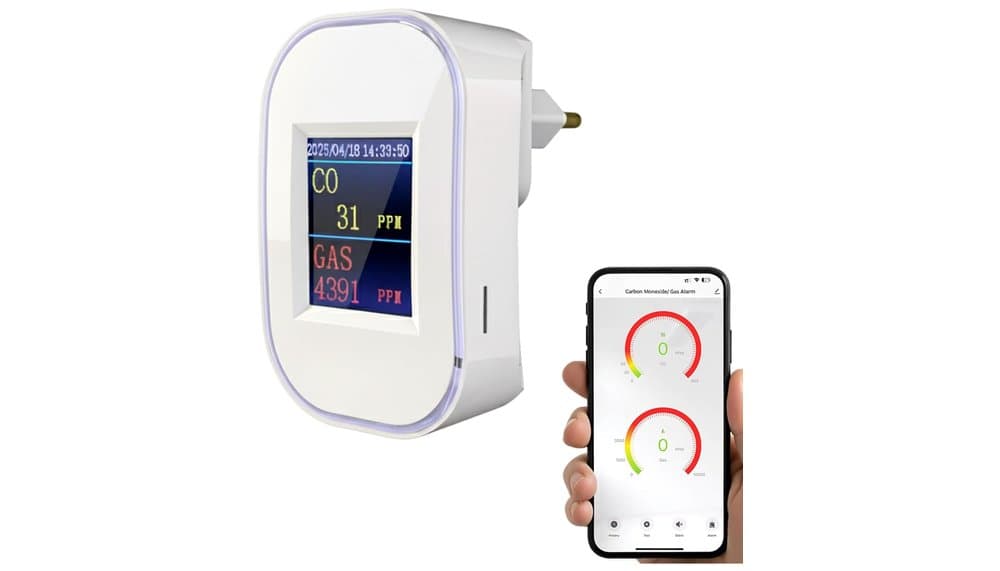 BoundlessBrothers WLAN Gasdetektor Stecker Test